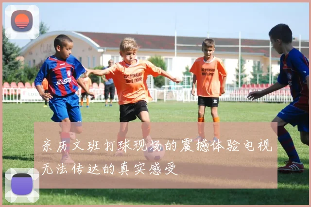 亲历文班打球现场的震撼体验电视无法传达的真实感受